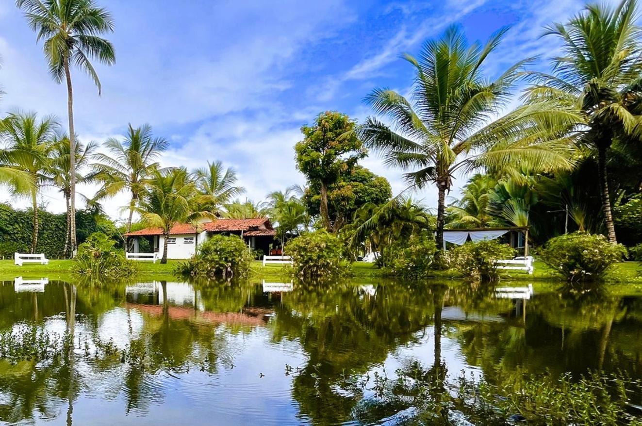 Alma Tropical Mini Resort Vera Cruz Eksteriør billede
