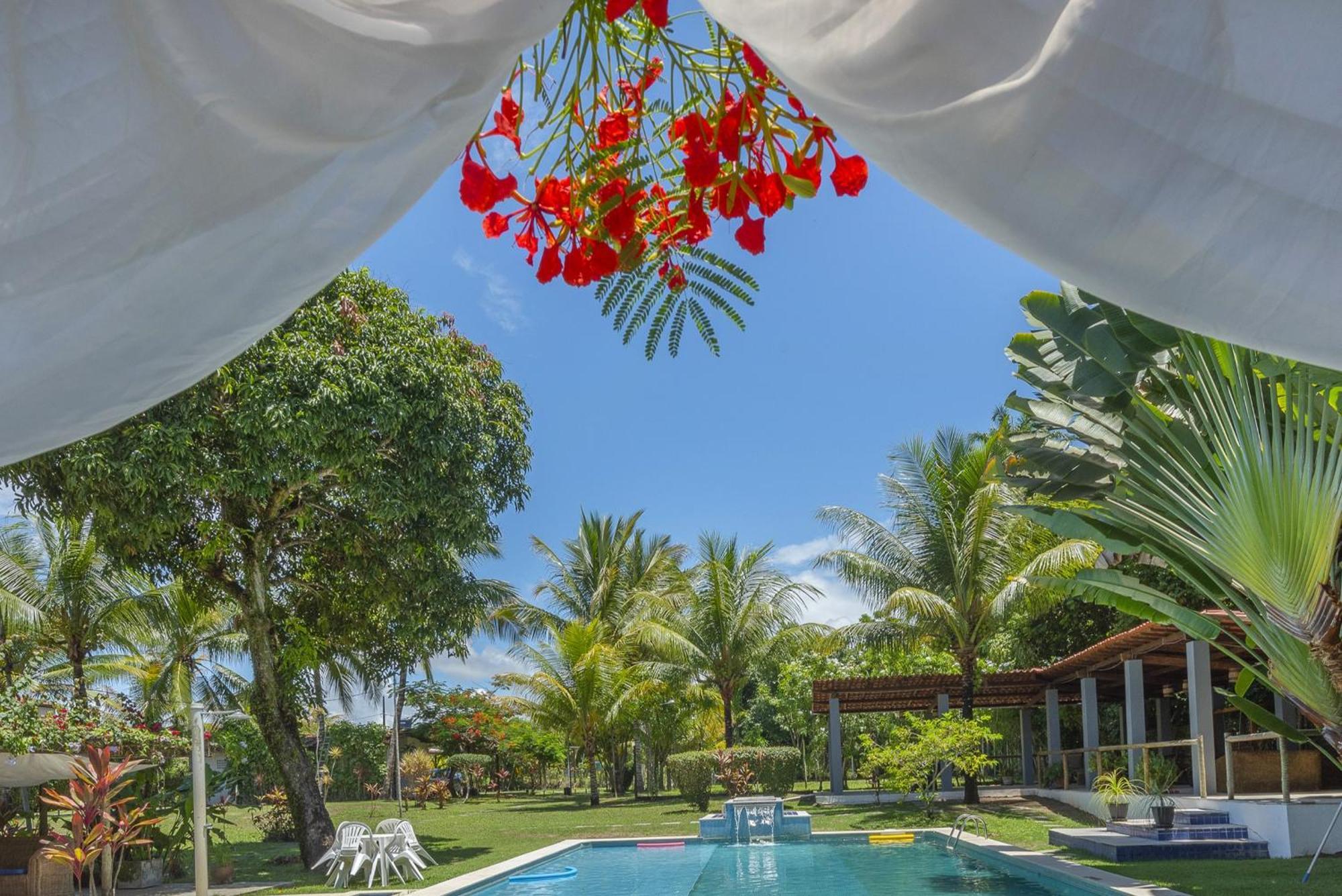 Alma Tropical Mini Resort Vera Cruz Eksteriør billede